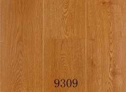 现代经典地板9309