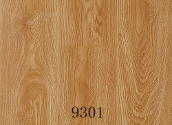 揭阳现代经典地板9301