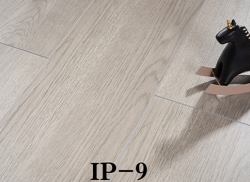 IP-9